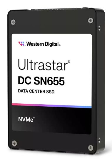 Image de Western Digital Ultrastar DC SN655 SSD (0TS2461)