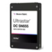 Image de Western Digital Ultrastar DC SN655 SSD (0TS2461)