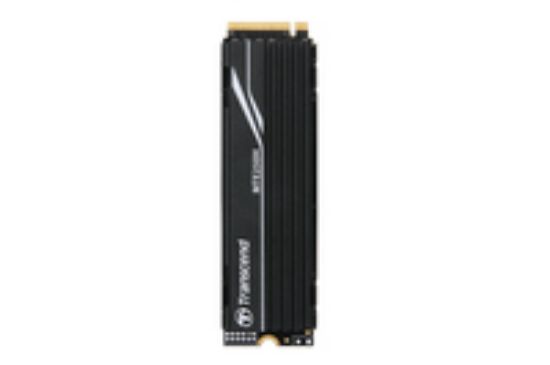 Image de Transcend PCIe 250H, 4TB, NVMe PCIe Gen4 x4 SSD (TS4TMTE250H)
