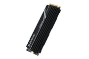 Image de Transcend PCIe 250H, 4TB, NVMe PCIe Gen4 x4 SSD (TS4TMTE250H)