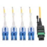 Image de Eaton Tripp Lite series MTP/MPO (APC) to 4xLC (UPC) Singlemode Breakout Patch Cable, 40/100 GbE, QSFP+ 40GBASE-PLR4, Plenum, Yellow, 1 m (3.3 ft.) Câble de fibre optique ... (N390-01M-8LC-AP)