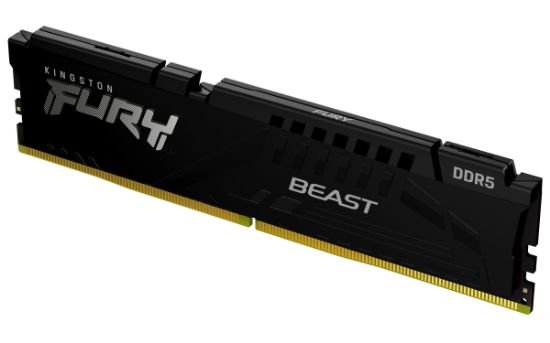 Image de Kingston Technology Beast Mémoire RAM (KF560C36BBE-32)