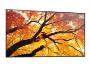 Image de Sharp MultiSync PN-M752 189,2 cm (74.5") LED 550 cd/m² 4K Ultra HD Noir 24/7 (PNM752)