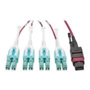 Image de Eaton Tripp Lite series 40G MTP/MPO to 4xLC Fan-Out OM4 Plenum-Rated Fiber Optic Cable, 40GBASE-SR4, Push/Pull Tabs, Magenta, 1 m Câble de fibre optique - Couleur aqua,No ... (N845-01M-8L-MG)