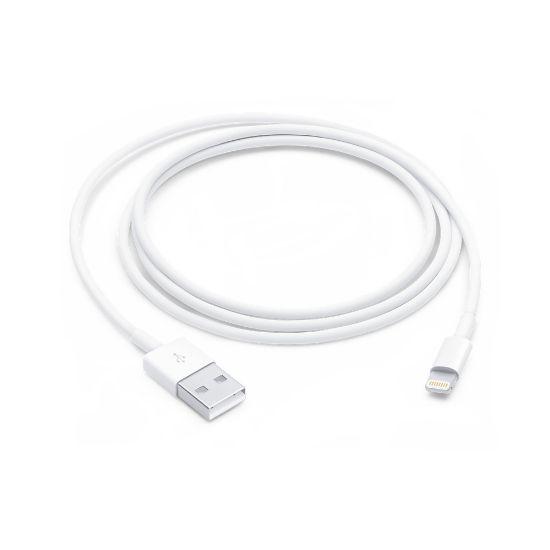 Image de Apple Câble Lightning vers USB (1 m) - Blanc (MUQW3ZM/A)