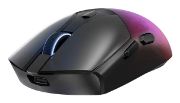 Image de Lenovo Legion M410 souris Gaming Ambidextre RF Wireless + USB Type-C Optique 16000 DPI (GY51P83012)