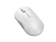 Image de Lenovo 700 souris Bureau Ambidextre RF sans fil + Bluetooth Optique 4000 DPI (GY51S61901)