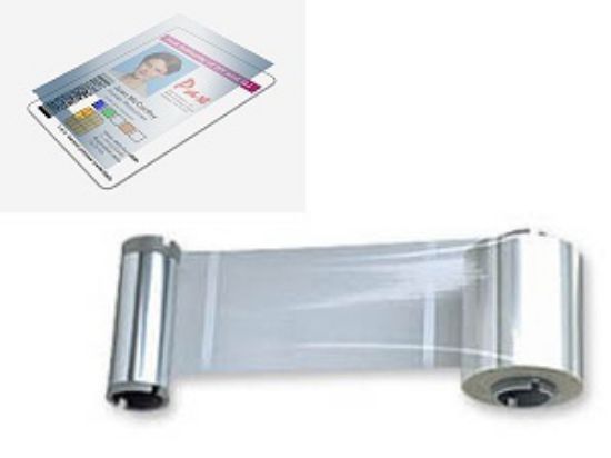 Image de Zebra film issu d'un procédé de lamination (800084-918)