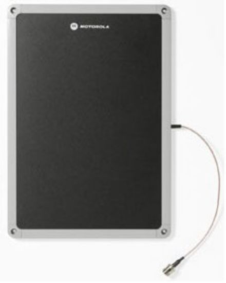 Image de Motorola antenne Type-N 4 dBi (AN620-SCL71130EU)