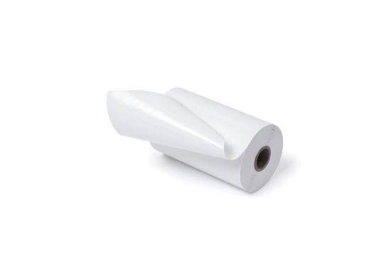 Image de Zebra étiquette code-barres Blanc (ZIPZLM3017704)