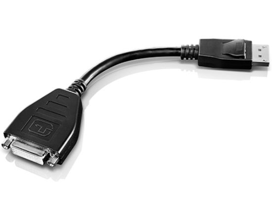 Image de Lenovo câble vidéo et adaptateur 0,2 m DVI-D DisplayPort Noir (45J7915)