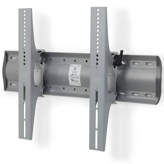 Image de Ergotron Support mural inclinable TM, XL Support de montage - Argent (61-142-003)