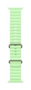 Image de Apple Natural Titanium Finish - Vert (MGCF4ZM/A)
