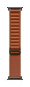 Image de Apple Boucle Alpine terracotta 49 mm - Small - Finition titane noir - Marron (MG9D4ZM/A)