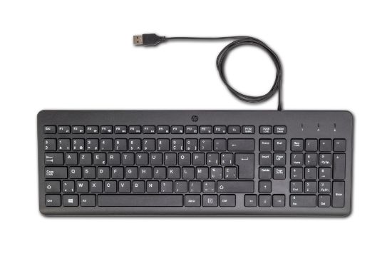Image de HP Clavier filaire 150 (664R5AA)