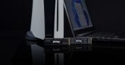 Image de Kingston Technology 1000G FURY RENEGADE M.2 2280 NVMe SSD (SFYRS/1000G)