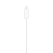 Image de Apple Câble de charge rapide magnétique vers USB-C pour Watch (1 m) Chargeur - Blanc (MT0H3ZM/A)