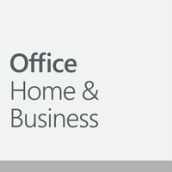 Image de Microsoft Office Home and Business 2024 (EP2-06658)