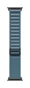 Image de Apple Boucle Alpine bleu clair 49 mm - Large - Finition titane noir (MG9M4ZM/A)