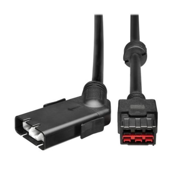Image de Eaton Adapter cable to connect 9PX G1 UPS, EBM or SC240RT to 9PX G2 UPS or EBM (240V) - Noir (CBLADAPT240RT)