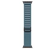 Image de Apple Boucle Alpine bleu clair 49 mm - Medium - Finition titane noir (MG9L4ZM/A)