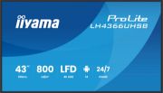 Image de iiyama Écran d'affichage dynamique Écran plat de signalisation numérique 109,2 cm (43") LCD Wifi 800 cd/m² 4K Ultra HD Noir Intégré dans le processeur Android 24/7 (LH4366UHSB-B1AG)
