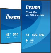 Image de iiyama Écran d'affichage dynamique Écran plat de signalisation numérique 109,2 cm (43") LCD Wifi 800 cd/m² 4K Ultra HD Noir Intégré dans le processeur Android 24/7 (LH4366UHSB-B1AG)