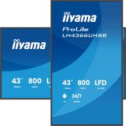 Image de iiyama Écran d'affichage dynamique Écran plat de signalisation numérique 109,2 cm (43") LCD Wifi 800 cd/m² 4K Ultra HD Noir Intégré dans le processeur Android 24/7 (LH4366UHSB-B1AG)