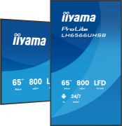 Image de iiyama Écran d'affichage dynamique Écran plat de signalisation numérique 165,1 cm (65") LCD Wifi 800 cd/m² 4K Ultra HD Noir Intégré dans le processeur Android 24/7 (LH6566UHSB-B1AG)