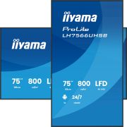 Image de iiyama Écran d'affichage dynamique Écran plat de signalisation numérique 190,5 cm (75") LCD Wifi 800 cd/m² 4K Ultra HD Noir Intégré dans le processeur Android 24/7 (LH7566UHSB-B1AG)