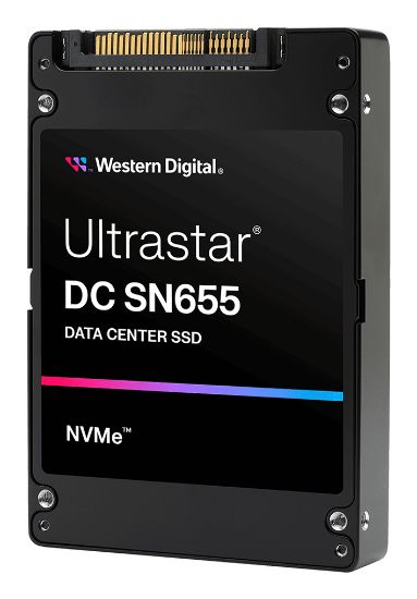 Image de Western Digital Ultrastar DC SN655 SSD (0TS2458)