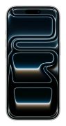 Image de Apple iPhone 17 Pro Smartphone - Argent 1000Go (MG8P4ZD/A)