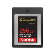 Image de SanDisk 256GB, CFexpress, 1700MB/s, 1200MB/s, XQD Mémoire flash - Noir (SDCFE-256G-GN4NN)