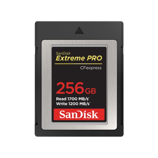 Image de SanDisk 256GB, CFexpress, 1700MB/s, 1200MB/s, XQD Mémoire flash - Noir (SDCFE-256G-GN4NN)