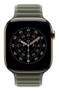 Image de Apple 46 mm, M/L - Gris, Sage (MGDL4ZM/A)