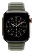 Image de Apple Bracelet à maillons magnétique gris sauge 42 mm - M/L (MGDE4ZM/A)
