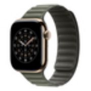 Image de Apple Bracelet à maillons magnétique gris sauge 42 mm - M/L (MGDE4ZM/A)