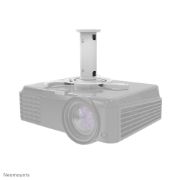 Image de Neomounts by Newstar support plafond projecteur (BEAMER-C80WHITE)