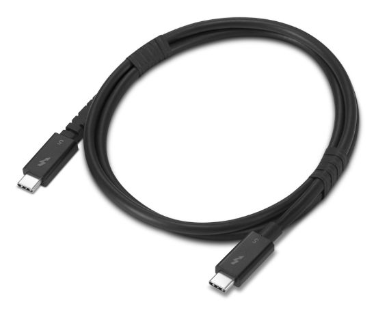Image de Lenovo Câble Thunderbolt 1 m 80 Gbit/s Noir (4X91U94411)