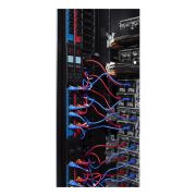 Image de APC Power Cord Kit (6 ea), Locking, C19 to C20, 0.6m (2ft), Blue (AP8712SX590)