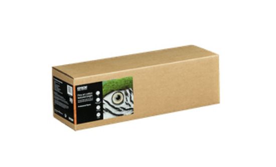 Image de Epson Fine Art Cotton Textured Bright II, 17" x 15m (C13S450284NQ)