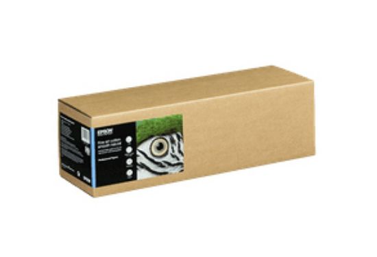 Image de Epson Fine Art Cotton Smooth Natural II, 17" x 15m (C13S450263NQ)