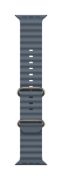 Image de Apple Natural Titanium Finish - Bleu (MGCC4ZM/A)