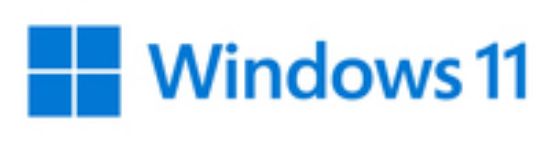 Image de Microsoft Windows 11 Pro for Workstations 1 licence(s) (HZV-00101)