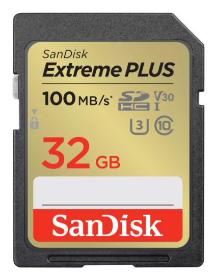 Image de SanDisk  Mémoire flash - Noir, Or (SDSDXWT-032G-GNCI2)